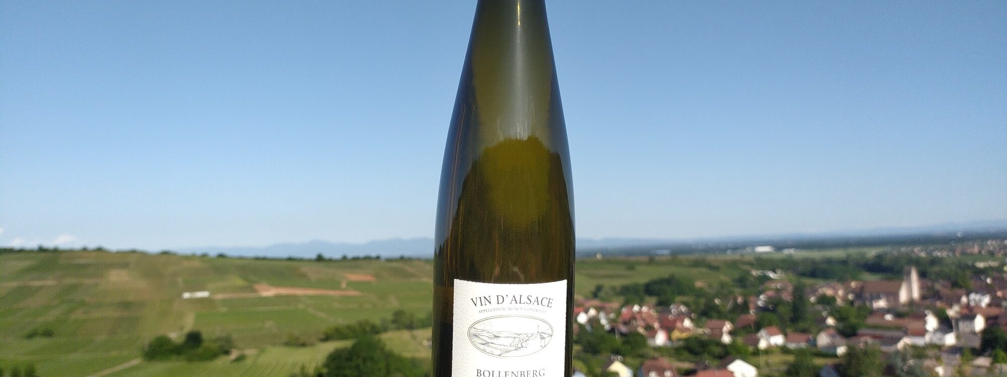 GEWURZTRAMINER BOLLENBERG 1 2000X750 | Domaine Albrecht Ernst René et fils Pourquoi le Riesling du Grand Cru Pfingstberg est-il si recherché par les connaisseurs ? Illzach
