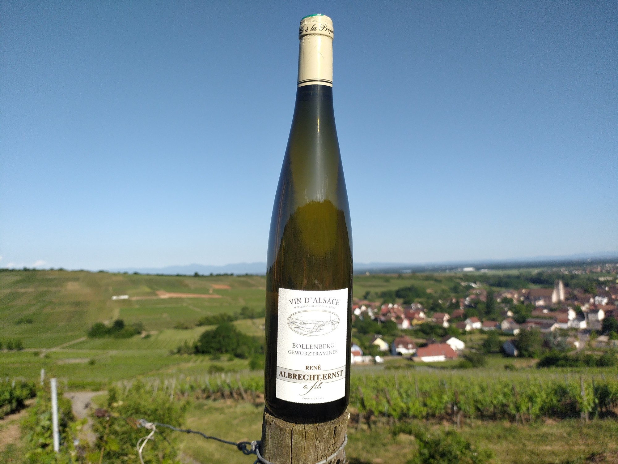 Pourquoi le Riesling du Grand Cru Pfingstberg est-il si recherch&eacute; par les connaisseurs ? Illzach