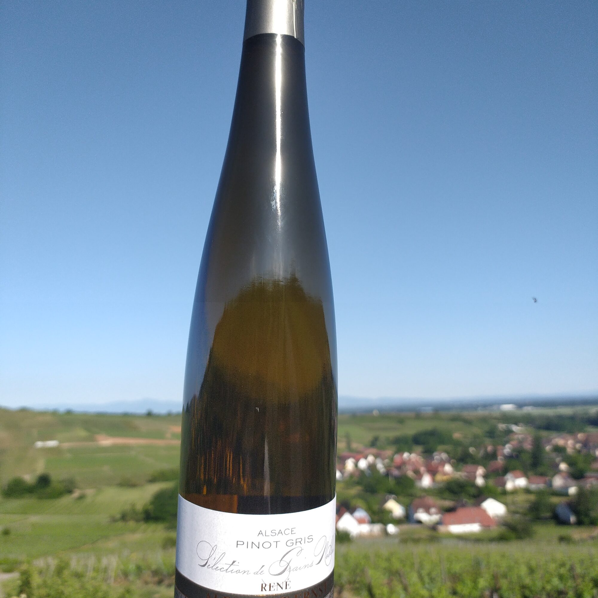 Pinot Gris 2022 Wittenheim