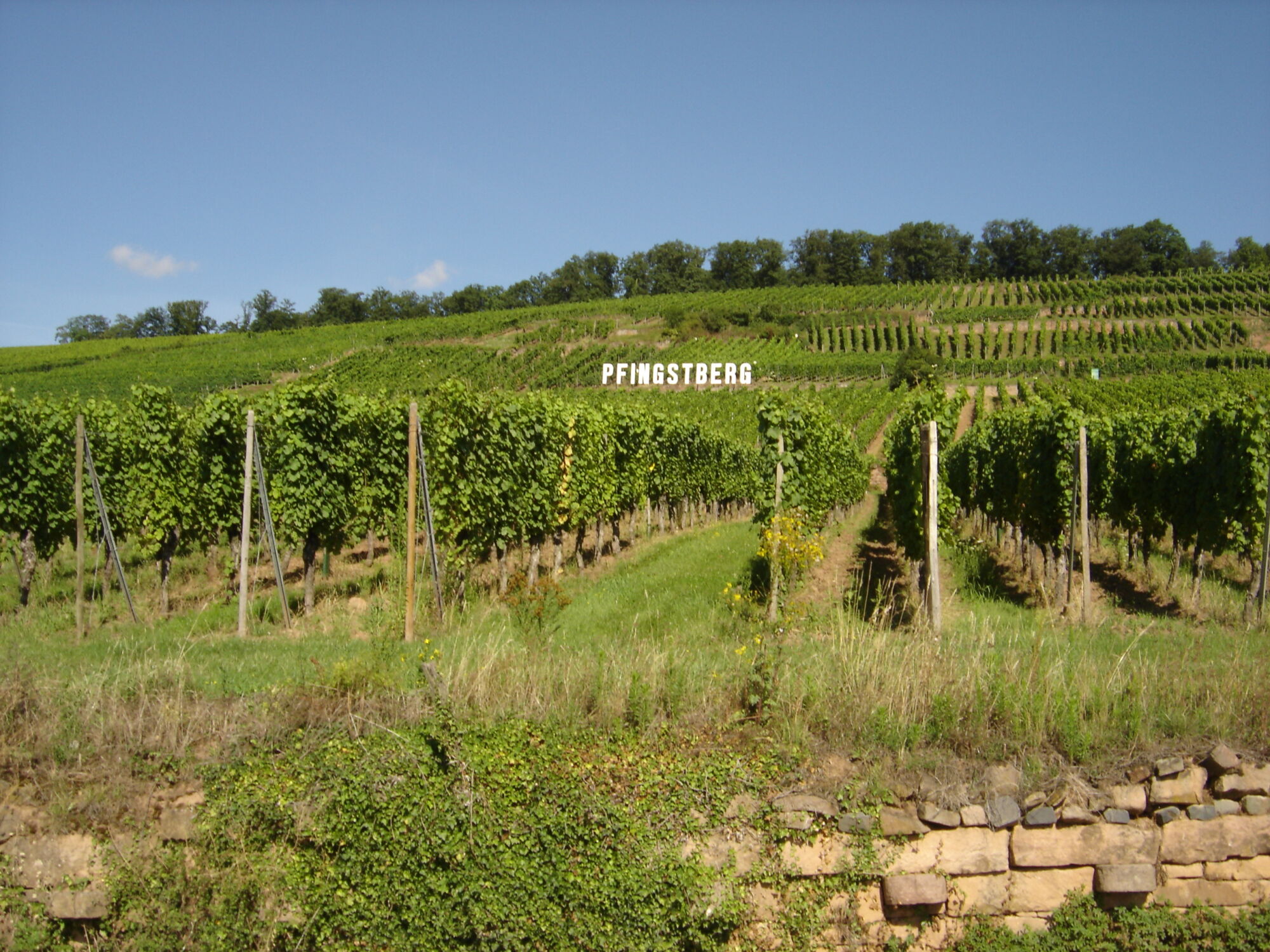 Deux terroirs, deux expressions du caractère alsacien Rixheim