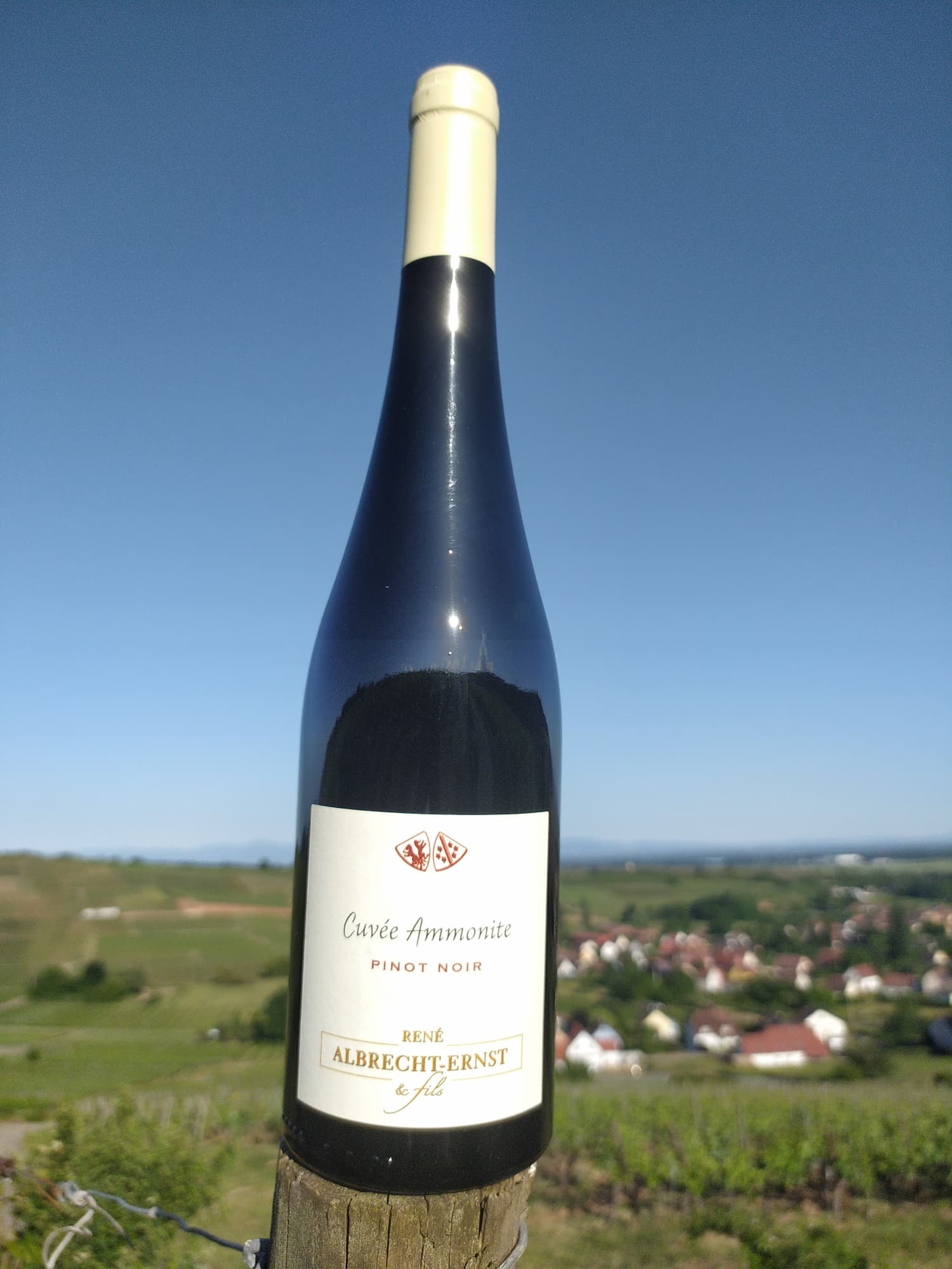 VINS_ALSACE_BIOLOGIQUE1 | Domaine Albrecht Ernst René et fils Vins d’Alsace biologiques – Grands Crus, terroirs d’exception et cuvées médaillées à Orschwihr près de Rouffach Mulhouse 1
