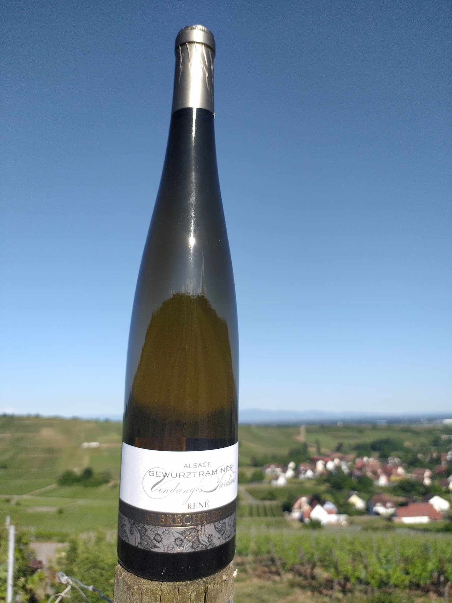 VINS_ALSACE_BIOLOGIQUE2 | Domaine Albrecht Ernst René et fils Vins d’Alsace biologiques – Grands Crus, terroirs d’exception et cuvées médaillées à Orschwihr près de Rouffach Wittelsheim 3