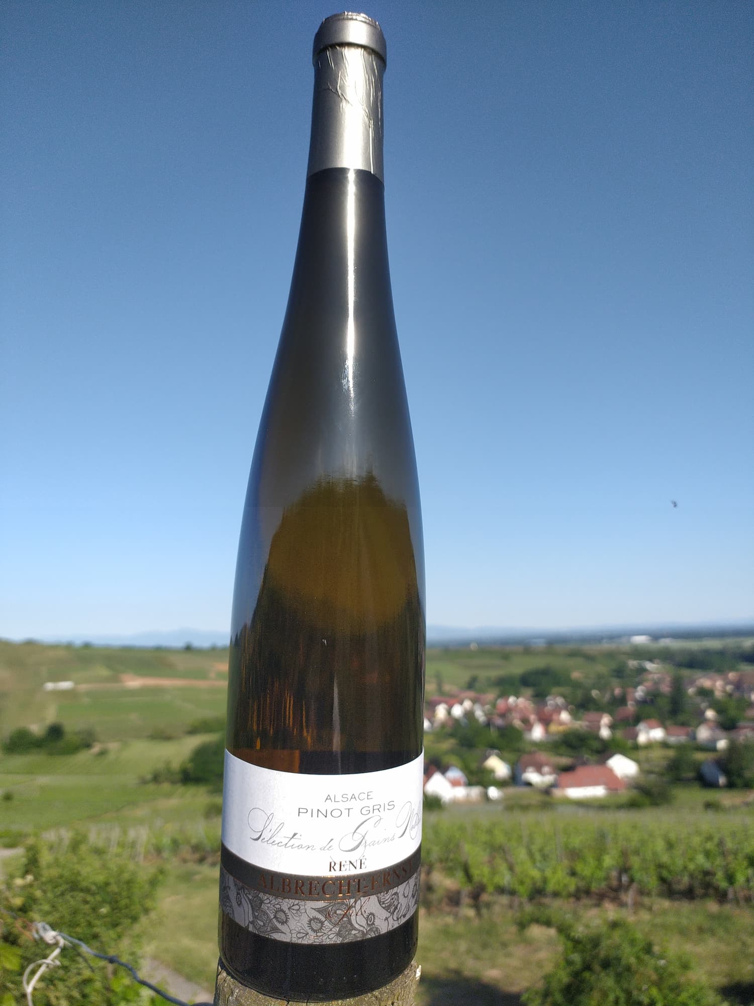 VINS_ALSACE_BIOLOGIQUE4 | Domaine Albrecht Ernst René et fils Vins d’Alsace biologiques – Grands Crus, terroirs d’exception et cuvées médaillées à Orschwihr près de Rouffach Guebwiller 4