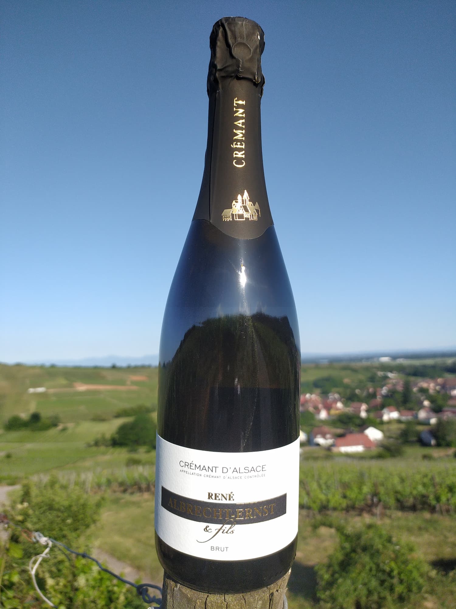 VINS_ALSACE_BIOLOGIQUE5 | Domaine Albrecht Ernst René et fils Vins d’Alsace biologiques – Grands Crus, terroirs d’exception et cuvées médaillées à Orschwihr près de Rouffach Pfastatt 5