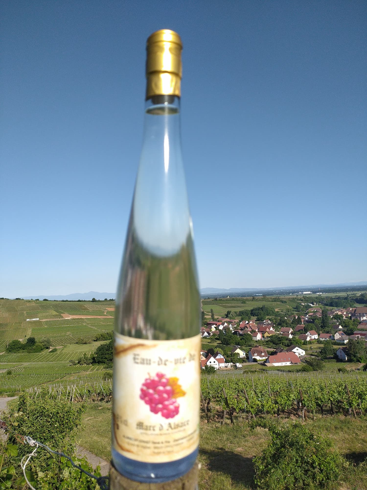 VINS_ALSACE_BIOLOGIQUE6 | Domaine Albrecht Ernst René et fils Vins d’Alsace biologiques – Grands Crus, terroirs d’exception et cuvées médaillées à Orschwihr près de Rouffach Illzach 6