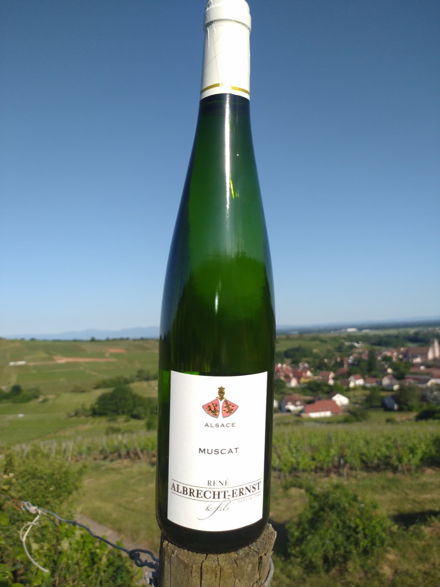 VINS_ALSACE_BIOLOGIQUE7 | Domaine Albrecht Ernst René et fils Vins d’Alsace biologiques – Grands Crus, terroirs d’exception et cuvées médaillées à Orschwihr près de Rouffach Riedisheim 0