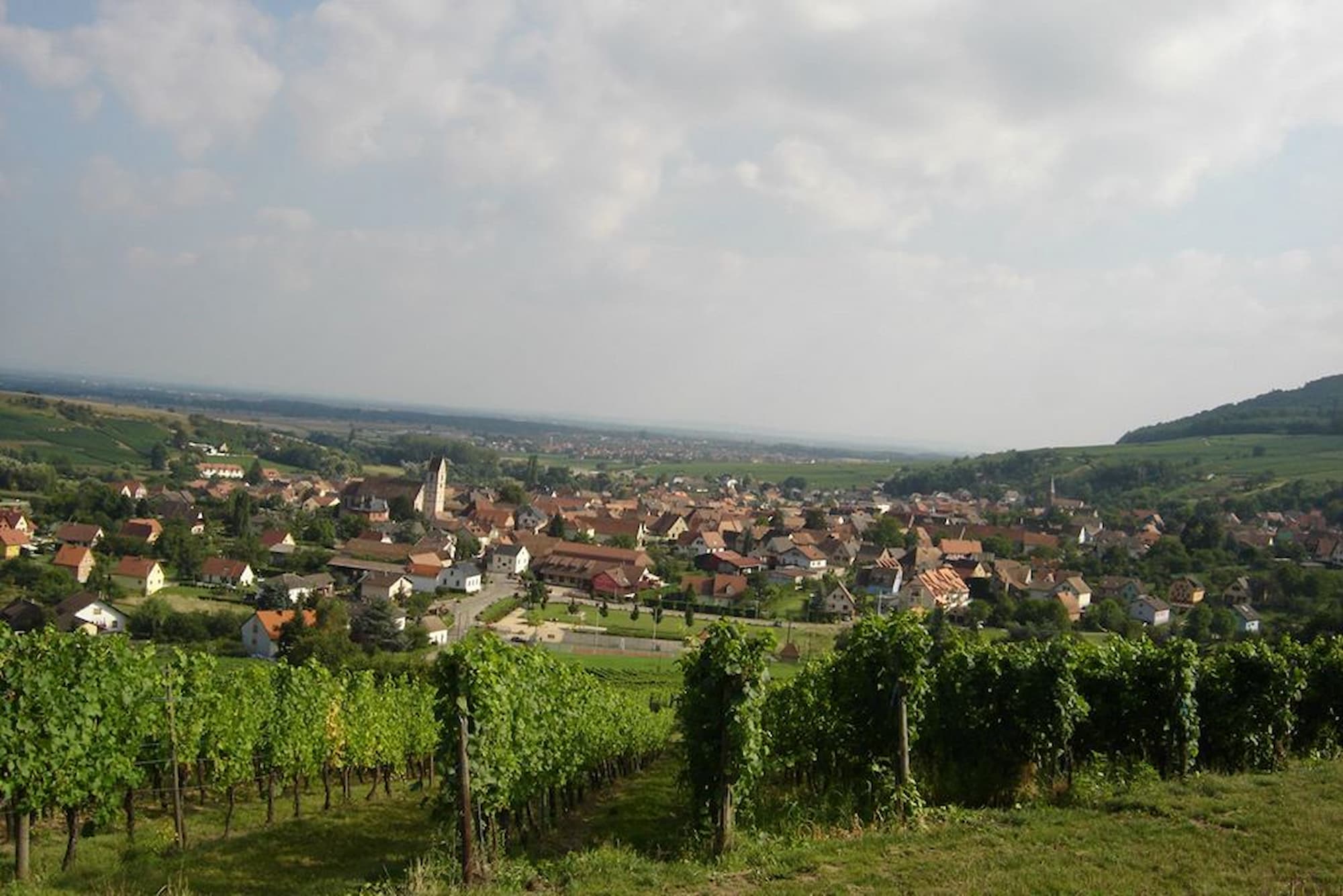 VINS_ALSACE_BIOLOGIQUE8 | Domaine Albrecht Ernst René et fils Vins d’Alsace biologiques – Grands Crus, terroirs d’exception et cuvées médaillées à Orschwihr près de Rouffach Cernay 8